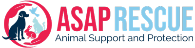 Rescue ASAP - Animal Support and Protection